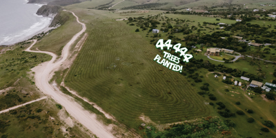 Cape Jervis Tree Planting