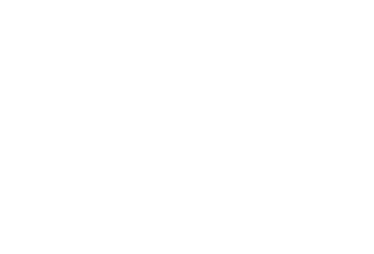 4 Pines Brewing Company